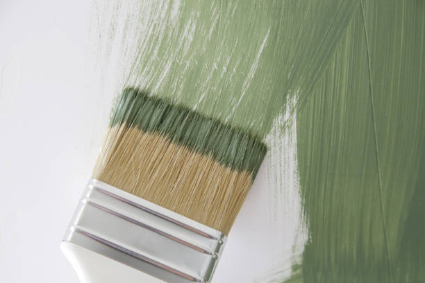 Best Mold Remediation for Healthcare Facilities  in Ignacio, CO