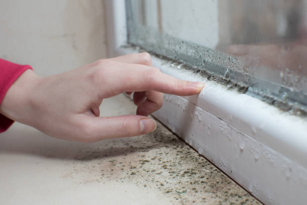 Best Indoor Air Quality Assessment  in Ignacio, CO