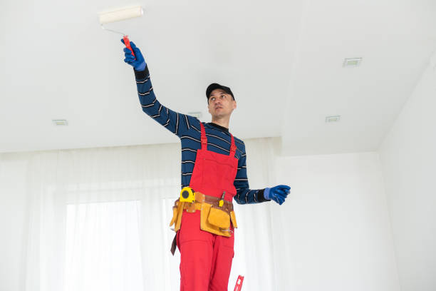 Ignacio, CO Mold Removal Company
